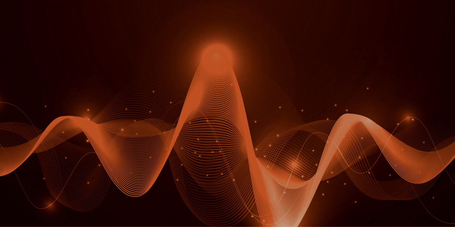 hero-back The Fox Voice